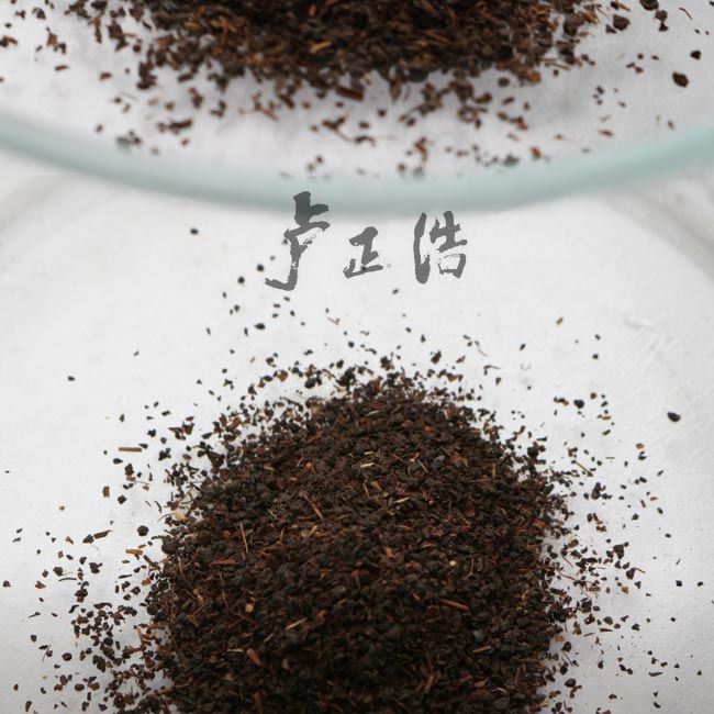 Black Tea (Camellia Sinensis) Plants EssentHouse