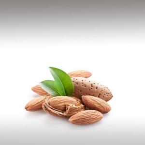 Almond Oil (Prunus Amygdalus Dulcis)