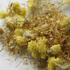 Dried flowers in close