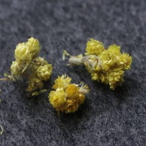 Dried buds