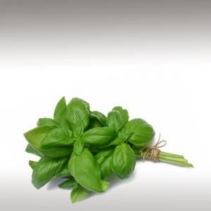 Basil Leaf Selected CO2 Extract (Ocimum Basilicum)