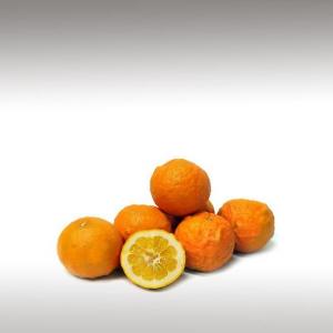 Bitter Orange essential oil (Citrus aurantium var. L. Spp aurantium amara per.)