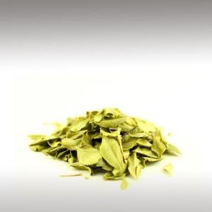Buchu Leaf Essential Oil (Agathosma Crenulata)