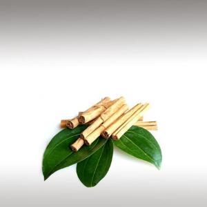 Ceylon Cinnamon Essential Oil (Cinnamomum Verum)
