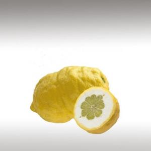 Citron essential oil (Citrus medica)