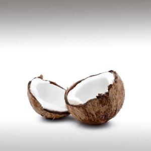 Coconut Nucifera Oil (Cocos Nucifera)