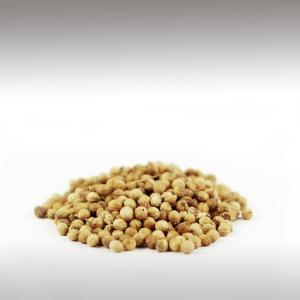 Coriander Essential Oil (Coriandrum Sativum)