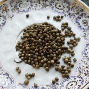 Coriander Essential Oil (Coriandrum Sativum)