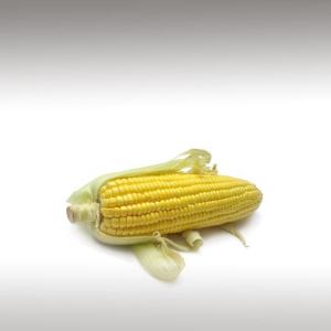 Corn Oil (Zea Mays)