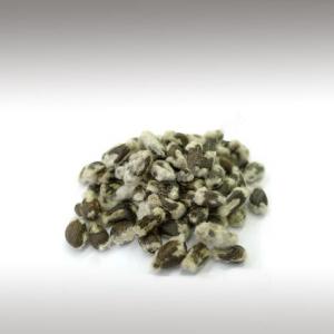 Cottonseed Oil (Gossypium Hirsutum)