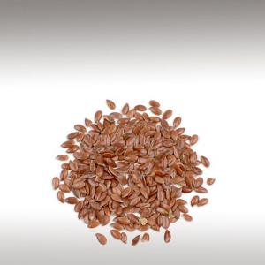 Flax Seeds (Linum usitatissimum)
