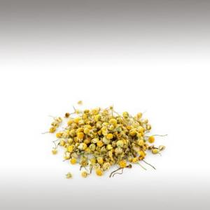 German Chamomile Essential Oil (Matricaria Recutita)