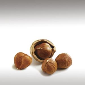 Hazelnut Oil (Corylus Avellana)