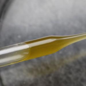 Oil in a pipette