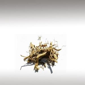 Kava-Kava Root Essential Oil (CO2) - (Piper Methysticum)