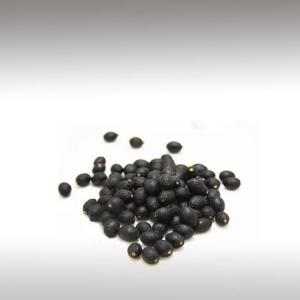 Laurel Seed Oil (Laurus Nobilis)