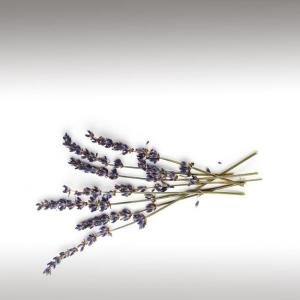 Lavender Essential Oil (Lavandula Angustifolia)