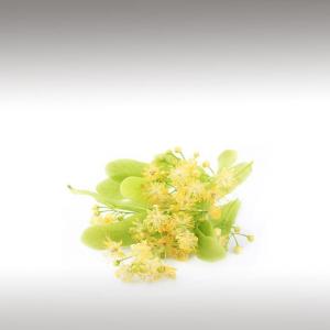Linden Blossom Essential Oil (Tilia Vulgaris)