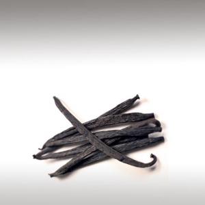 Madagascar Bourbon Vanilla Beans (Vanilla Planifolia)