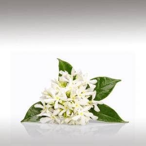 Neroli distillate (Citrus Aurantium Amara)