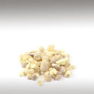 Omani Frankincense Essential Oil (Boswellia Sacra)