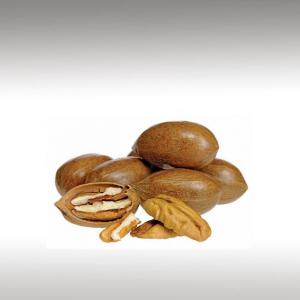 Pecans Oil (Carya Illinoinensis)