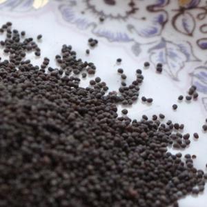 Poppy Seed Oil (Papaver Somniferum)