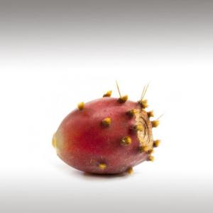 Prickly Pear Seed Oil (Opuntia ficus indica)