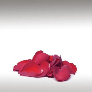 Rose Petals