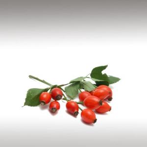 Rosehip Oil (Rosa Rubiginosa)