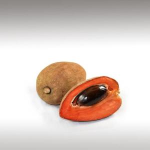 Sapote Seed Oil (Pouteria Sapota)