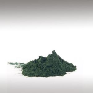 Spirulina (Arthrospira Platensis and Arthrospira Maxima)