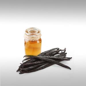 Vanilla Extract (Vanilla Planifolia)