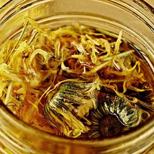 Home made calendula herbal oil infusion