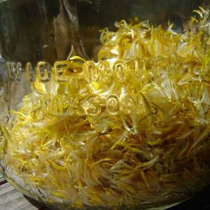 Home made wild dandelion honey