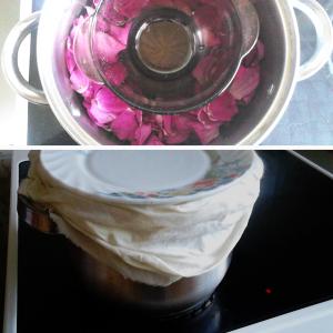 Homemade Dog-rose distillate