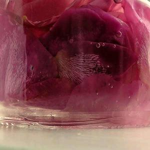 Home made rose petal oil