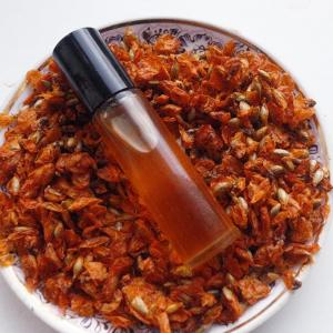 Sea-Buckthorn Macerated oil